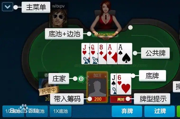 德扑扑克辅助神器(德扑智能辅助软件)